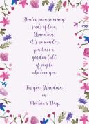 grandma-seeds-of-love-21666